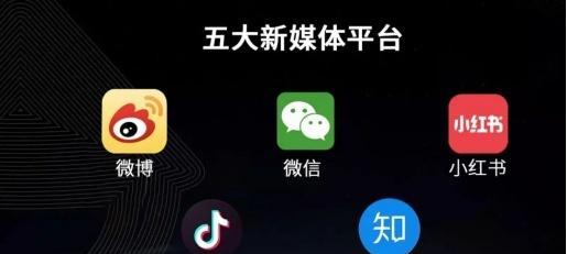 抖+如何带动自然流量？（解析抖+在推广中的应用及成功案例）