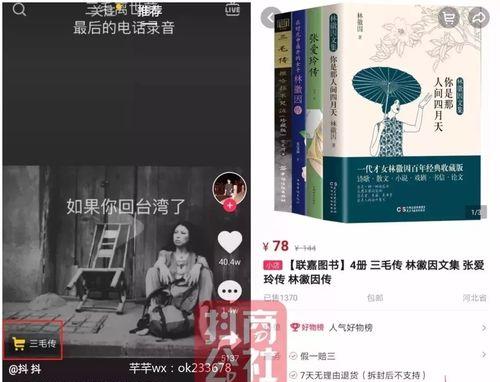 如何查找抖音小店ID？（抖音小店ID查询方法大揭秘！）