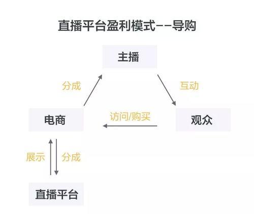 教你成为一位做抖音直播带货的专业主播（从零开始，掌握抖音直播带货技巧，开启你的创业之路）