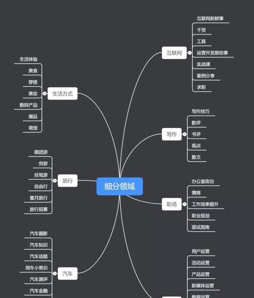 成为抖音服务商的申请流程和条件详解（如何成功申请成为抖音服务商，成为平台上的优质服务商？）