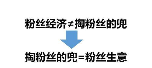 打造粉丝运营视频号的秘诀（从粉丝关系管理到内容营销，助你成为视频号大咖）