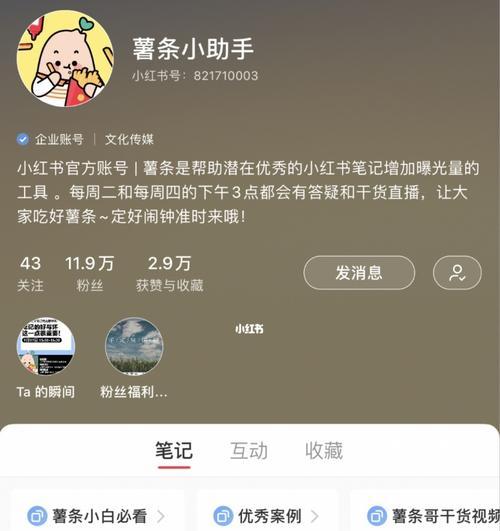 小红书开店指南（从零开始，打造属于自己的小红书生意）