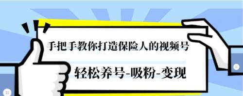 视频号认证的不同之处（企业和个人认证的流程、优势和限制对比解析）