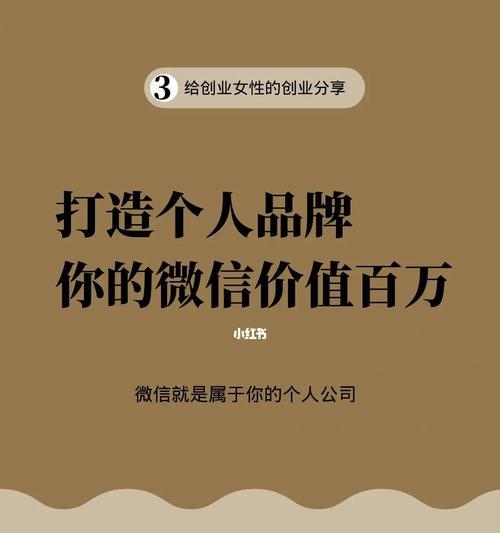 个人品牌与个人IP的区别（从定位、形象、价值观等方面解析两者的差异）