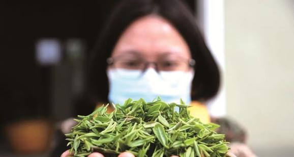 快手春茶节活动规则公布（分享茶文化，品味春茶香）