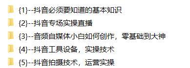 探讨抖音变现的十种常见方式（如何在抖音上实现变现？——分享十种常用方法）