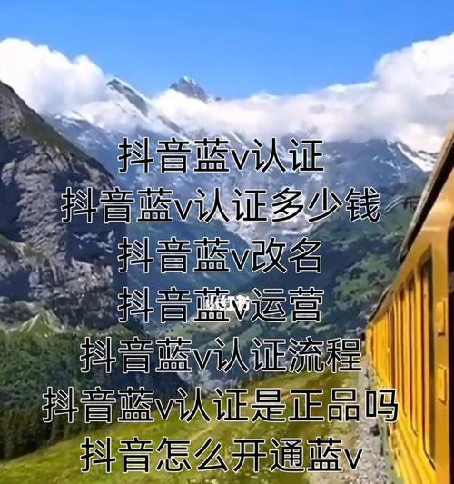 抖音蓝V认证教程（如何快速通过抖音蓝V认证，获得认证标识）