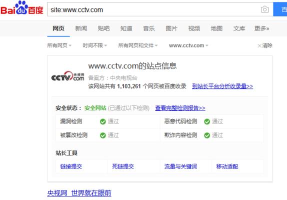 如何运用高级搜索技巧优化SEO？（八大高级搜索技巧实现SEO的突破）