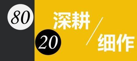 告别SEO盲人摸象数据分析回归做站本质为主题（探讨SEO优化中数据分析的作用与重要性）