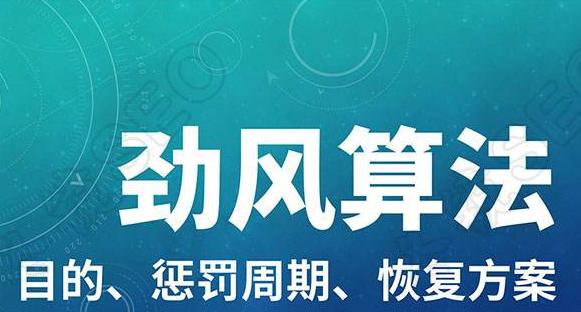 如何应对谷歌飓风算法30版的更新（给网站运营者的实用指南）