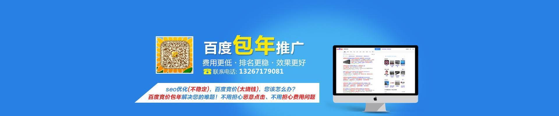 企业站如何选择SEO优化还是点击付费广告（探讨企业站推广的选择）