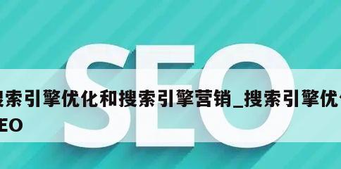 搜索引擎优化（了解SEO）