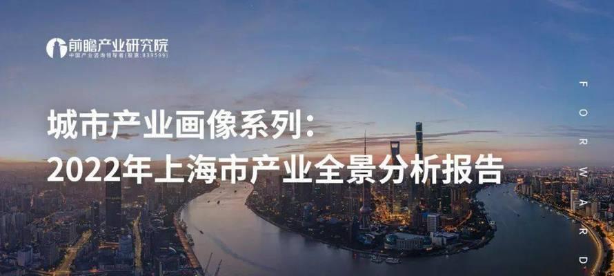 深度揭秘专业优化公司的SEO诊断分析报告（从细节把握核心）