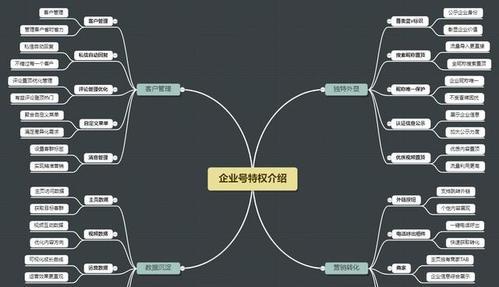 如何玩转抖音企业号（提升企业影响力的秘诀）