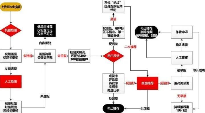 打造抖音爆款的底层逻辑和基础原则（4个基础原则）