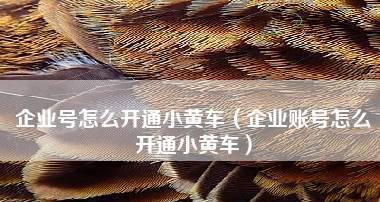 抖音小黄车开通最新流程解析（学会这些流程）