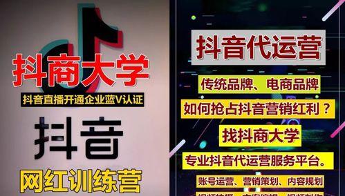 抖音直播伴侣需要1000粉吗（拥有一位忠实的粉丝团对于抖音直播伴侣的意义）