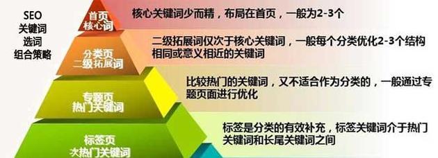 提升网站SEO排名收录的10大技巧（学习这些技巧）