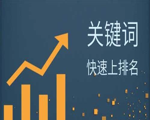 SEO秘籍（从选取到优化实战）