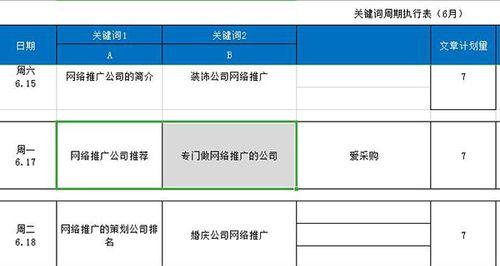 打造高效的网站推广计划，提升SEO排名（如何利用SEO公司的专业技能）