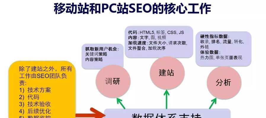 SEO技术人员的发展之路（探究SEO技术人员的职业发展和技能提升之路）