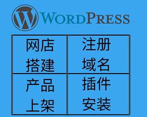 模板站和独立站SEO有何不同（探究模板站和独立站在SEO方面的差异）