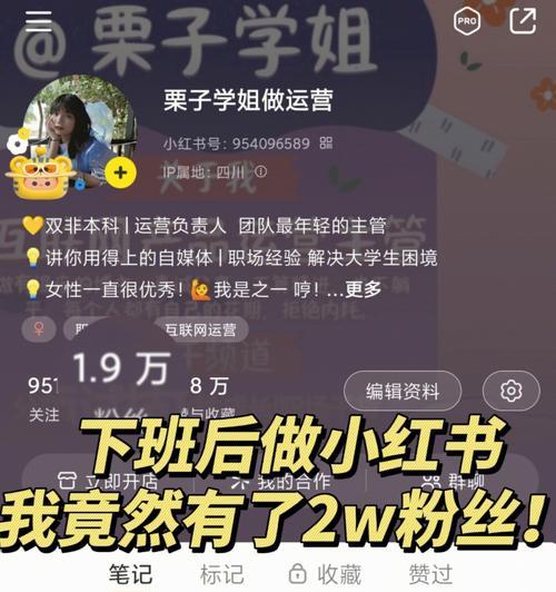 小红书笔记审核需要多久通过（探究小红书笔记审核机制及其影响因素）