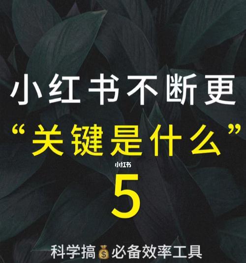 如何在小红书上卖食品（掌握这些条件）