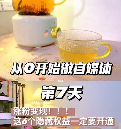 探究最容易涨粉的短视频特点（从内容）