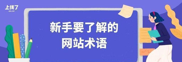 如何运用META标签优化网站SEO（从标签设置到内容创造）