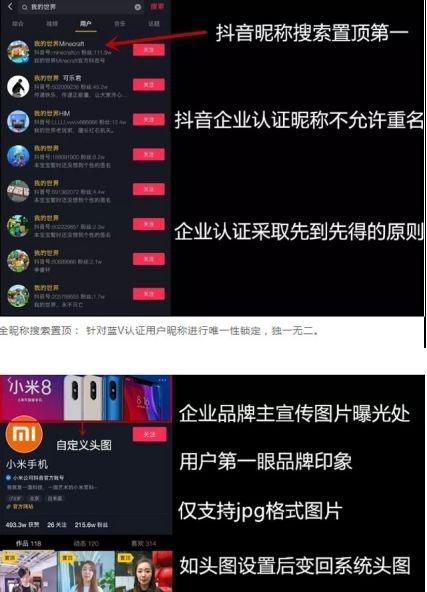 快手蓝v认证，有必要吗（了解快手蓝v认证的意义和影响）