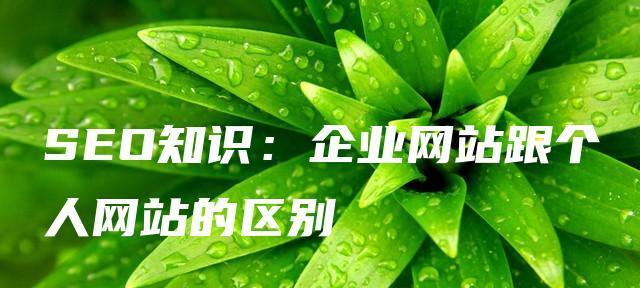 做好个人网站的心态如何进行SEO优化（掌握正确心态）