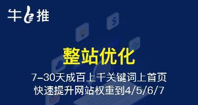 如何利用多样化的渠道提升网站排名（探索多元化的营销策略）