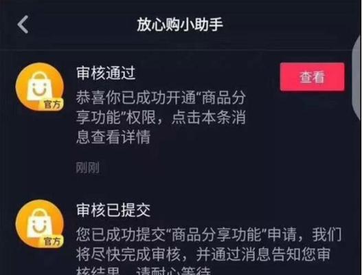 如何查看抖音领域标签（详细介绍抖音领域标签的查看方法及其作用）