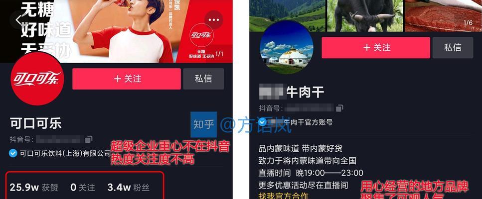 抖音企业号和蓝V有什么区别（揭开抖音营销的秘密）