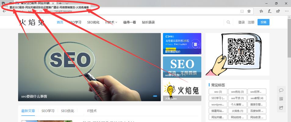 如何优化网站，提高搜索引擎排名（掌握SEO技巧）