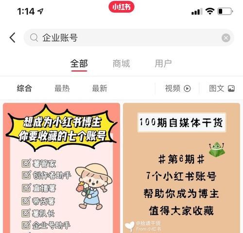 小红书攻略（揭秘小红书运营的成功密码）