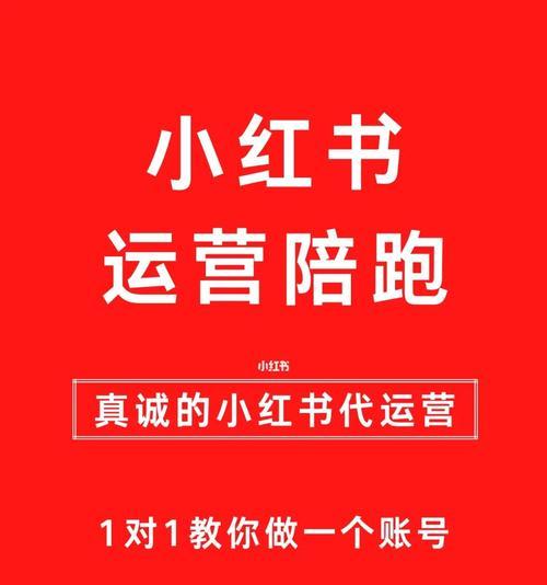 小红书攻略（揭秘小红书运营的成功密码）