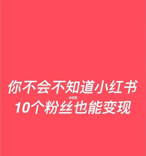 小红书推广攻略（打造高效推广计划）