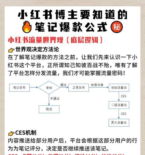 如何运营小红书专业号（教你打造优秀的小红书专业号）