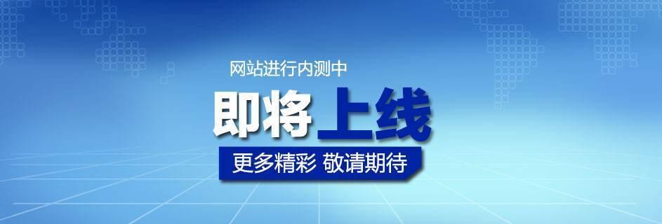 网站上线一直没被收录（掌握优化技巧）