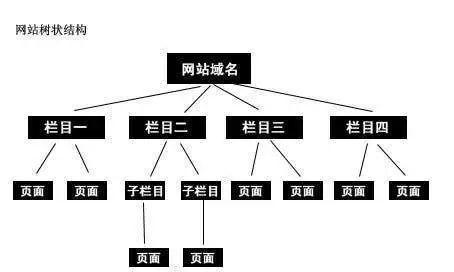 如何进行内链结构布局优化（五步教你打造高效内链）