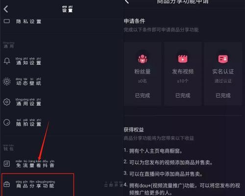 抖音商品橱窗资质选择指南：哪个平台更合适？