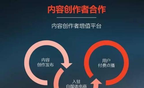 短视频播放量如何有效转化为收益？实现收益最大化的方法是什么？