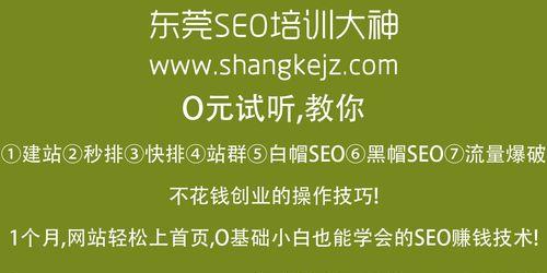 网站快照更新缓慢如何解决？有效提升网站快照更新速度的方法是什么？