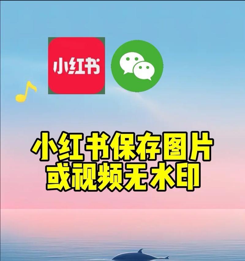 如何下载小红书上的视频？有无简单方法？